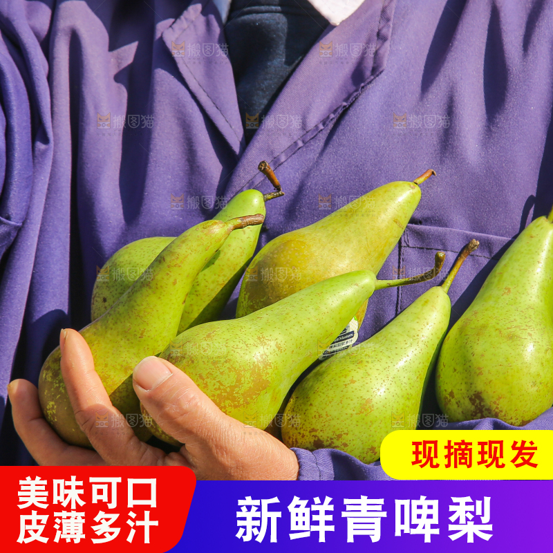 手里拿着青啤梨