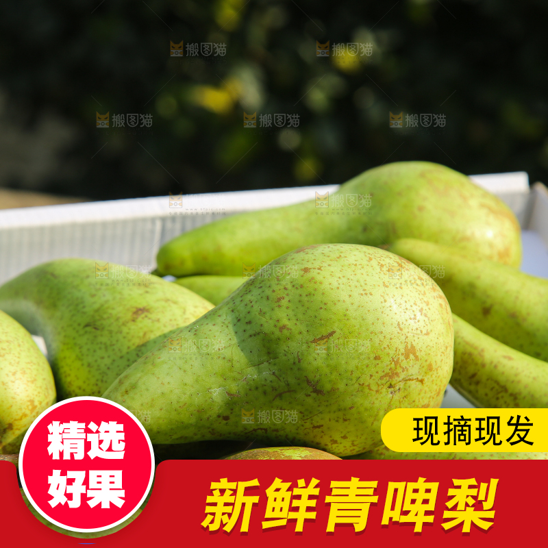 木底上的青啤梨