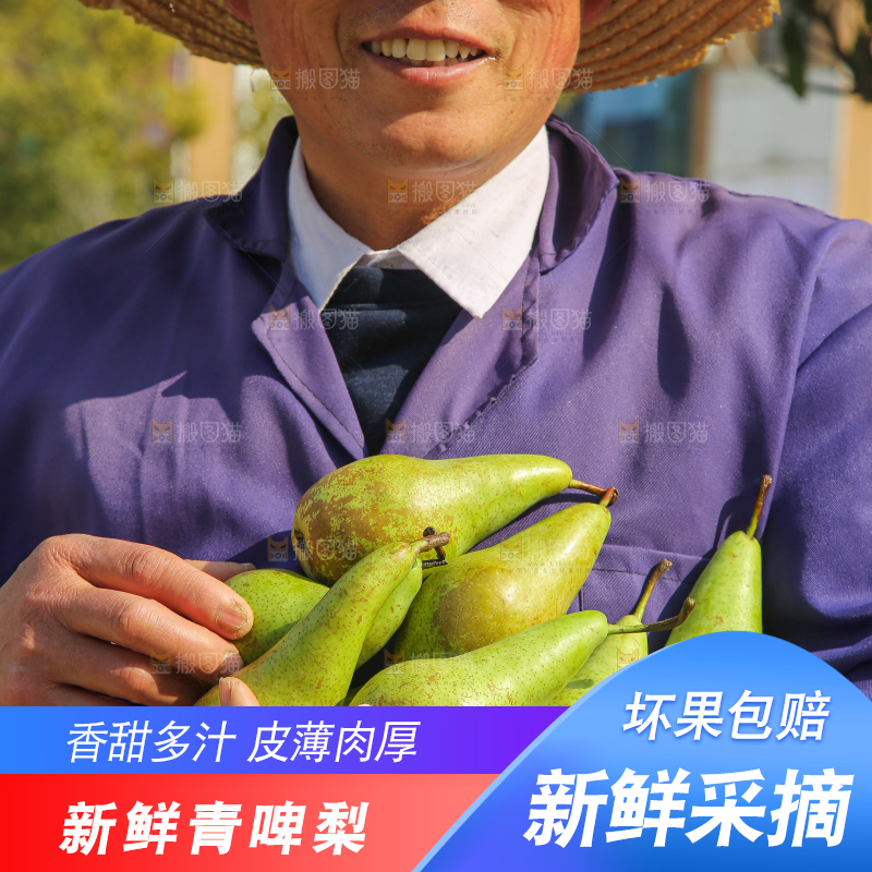 手里拿着青啤梨