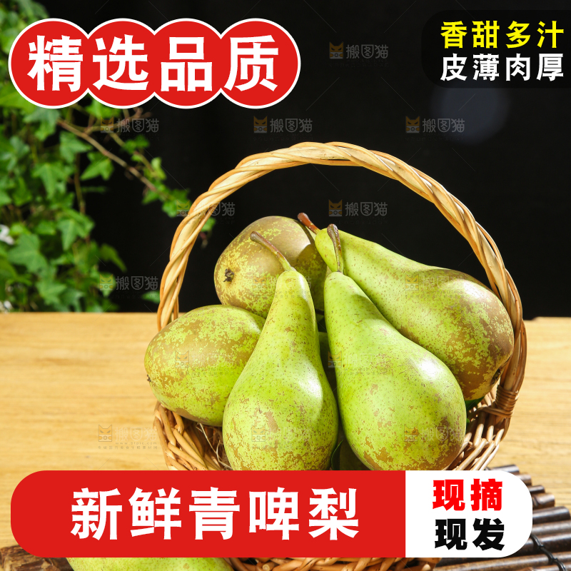 木底上的青啤梨