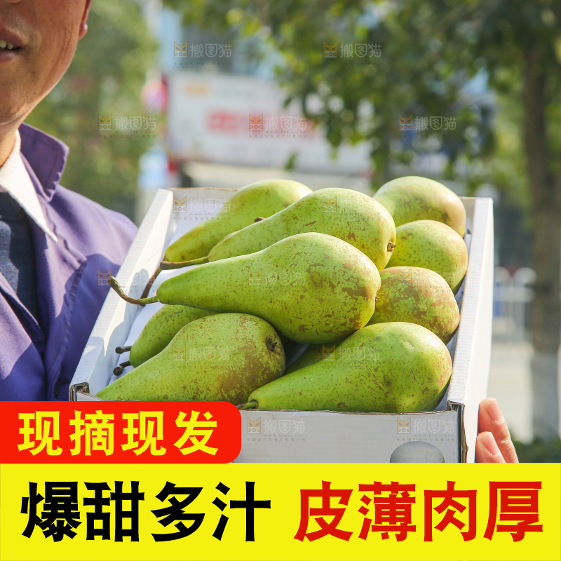 手里拿着青啤梨