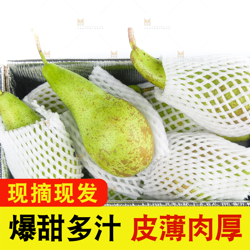 白底上的进口啤梨