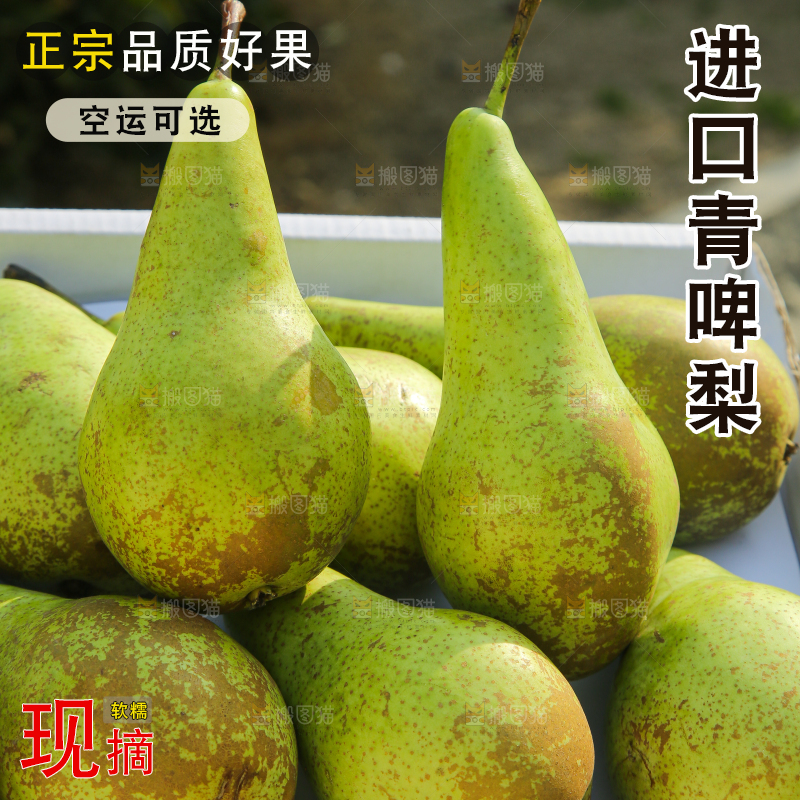 木底上的青啤梨