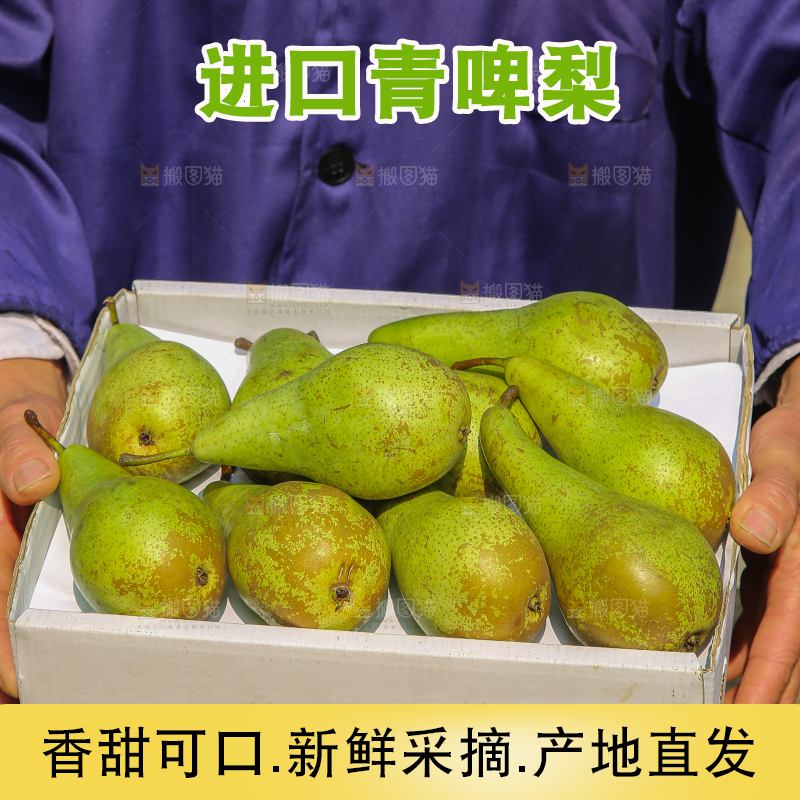 手里拿着青啤梨