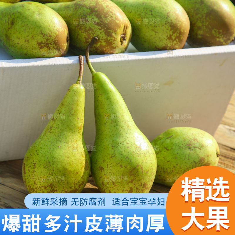 木底上的青啤梨