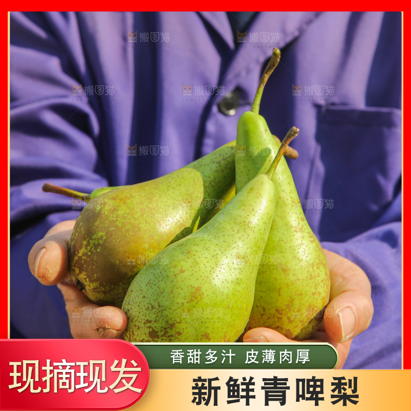手里拿着青啤梨