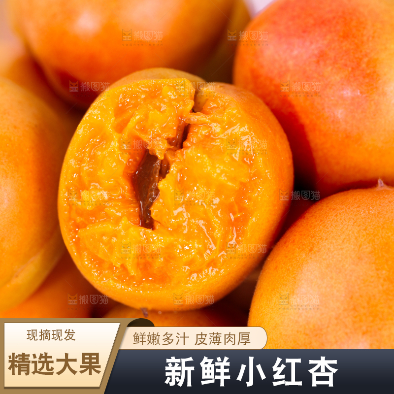 浅底上的小红杏