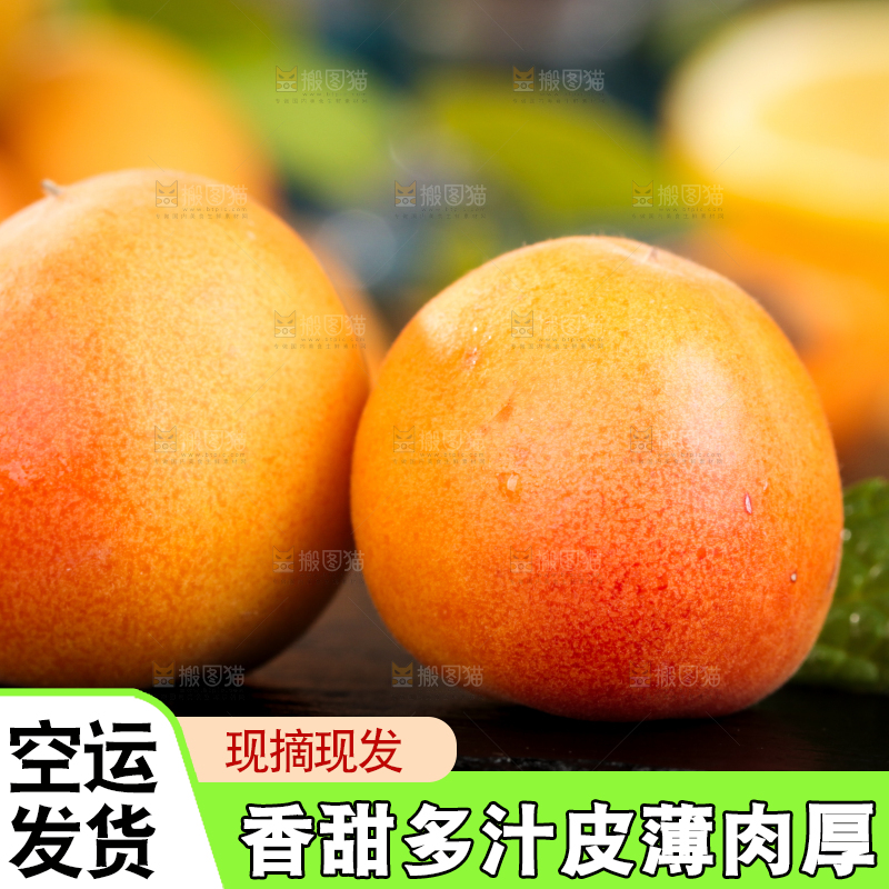 深底上的小红杏