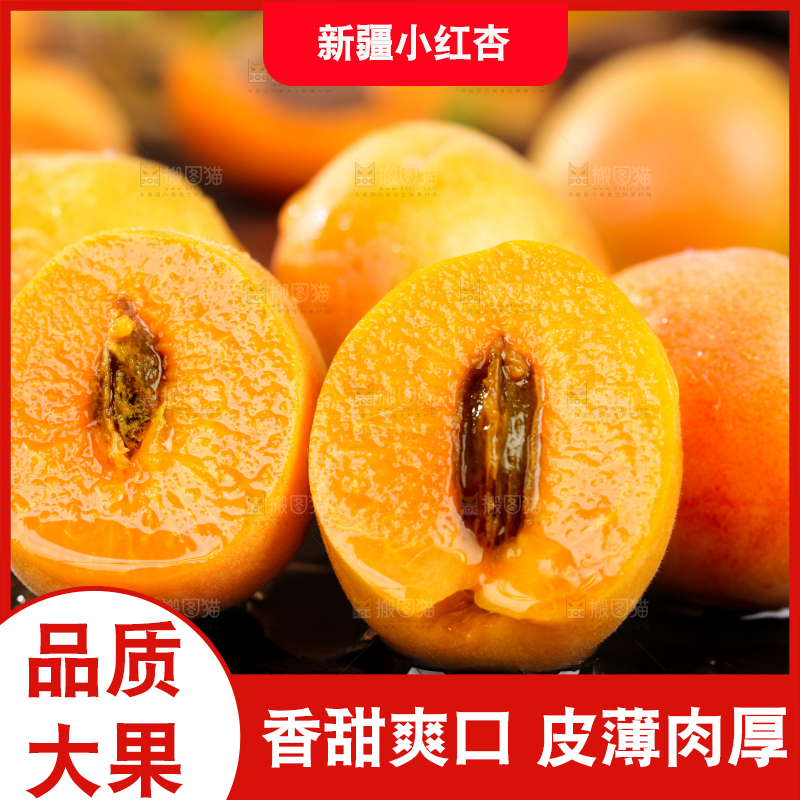 深底上的小红杏