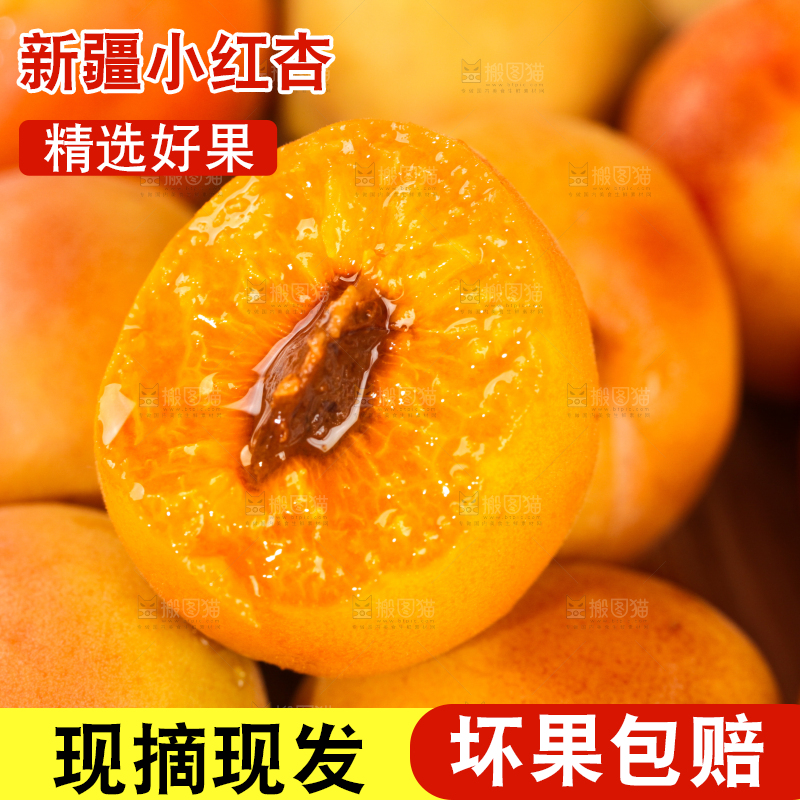 深底上的小红杏