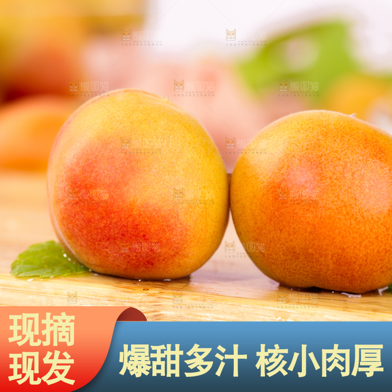 浅底上的小红杏