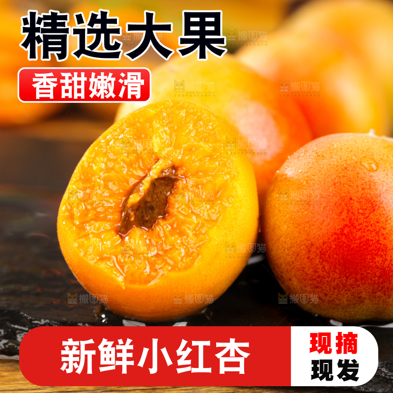 深底上的小红杏