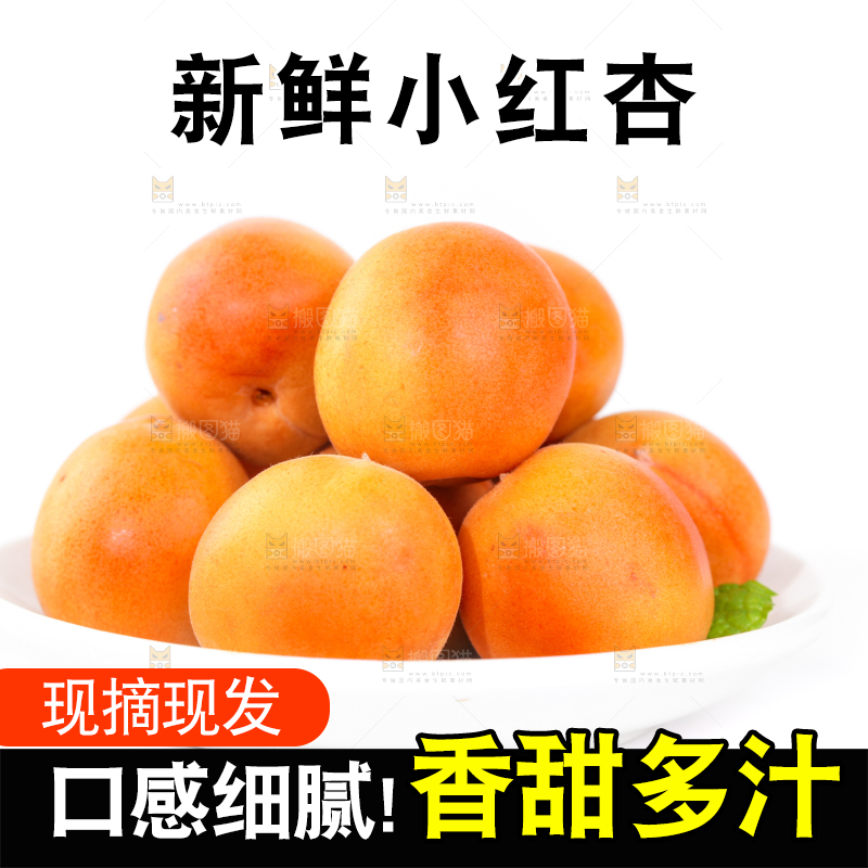 白底上的小红杏