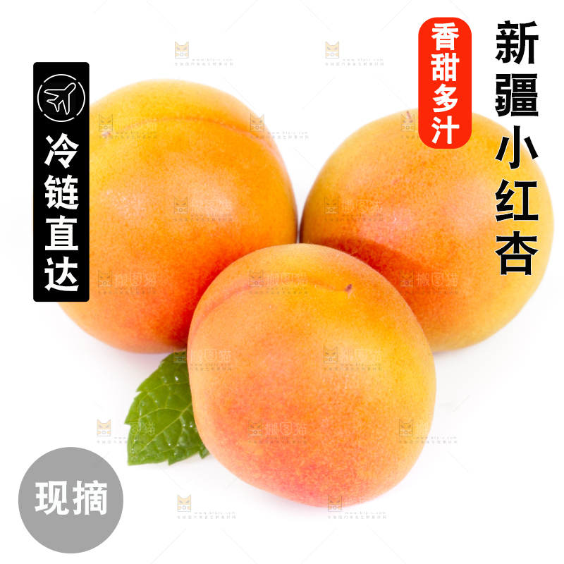 白底上的小红杏