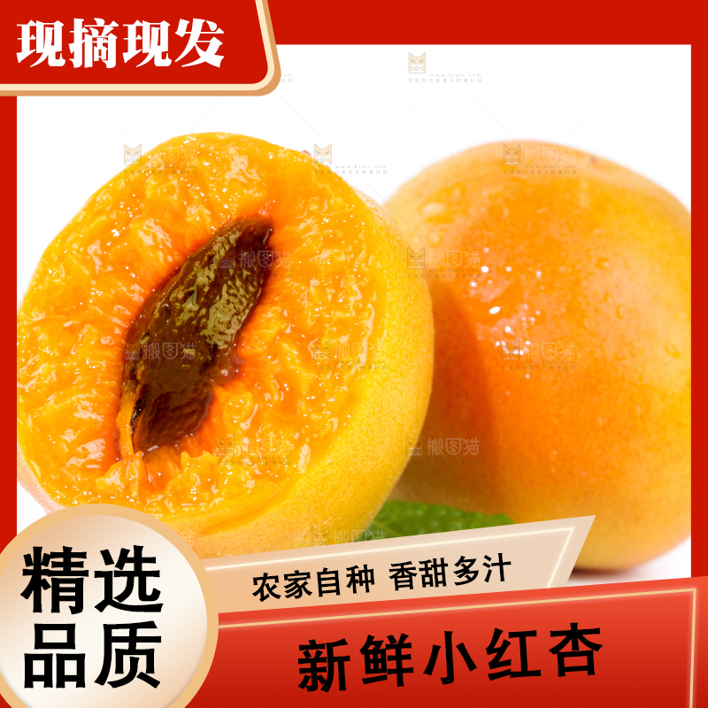 白底上的小红杏