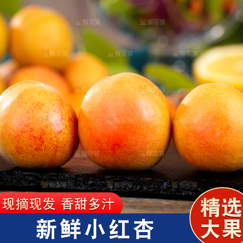 深底上的小红杏