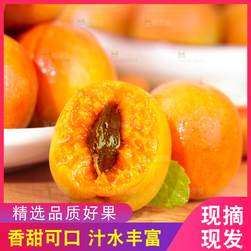 浅底上的小红杏
