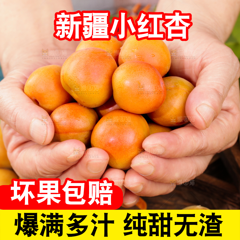 深底上的小红杏