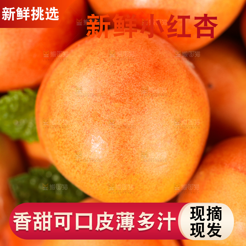 深底上的小红杏
