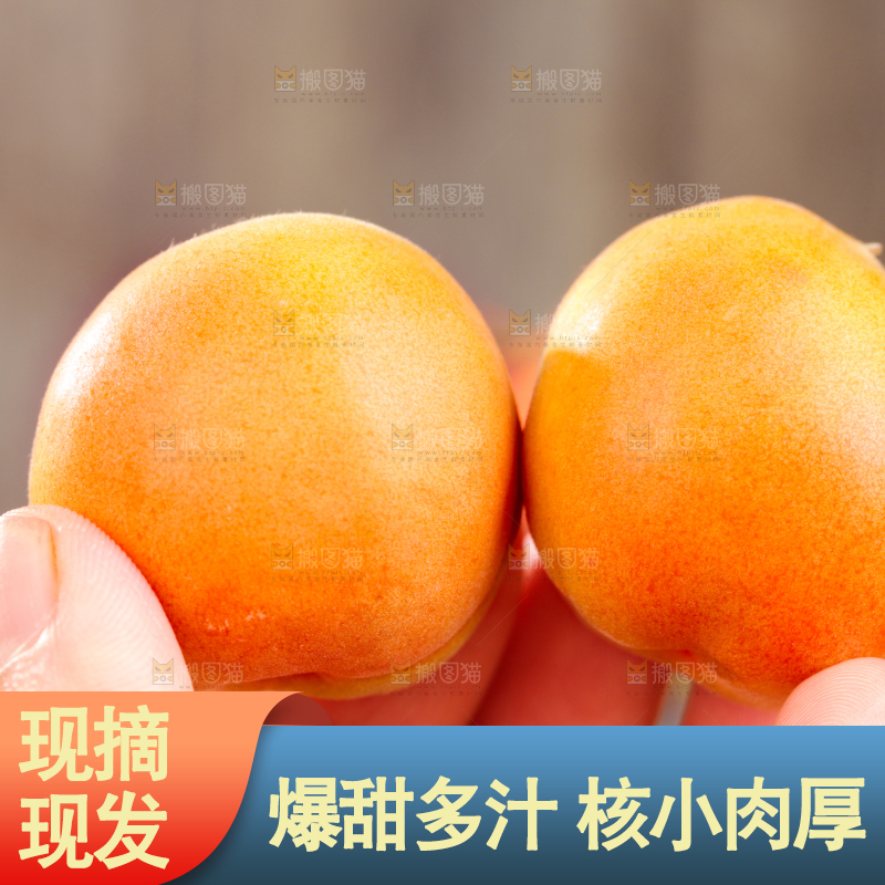 深底上的小红杏
