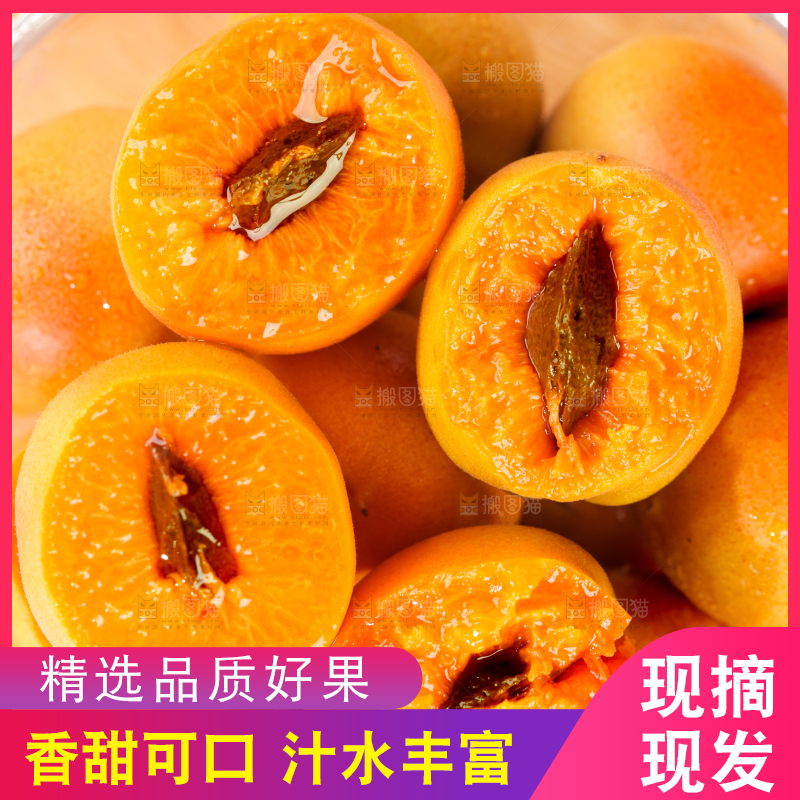 浅底上的小红杏