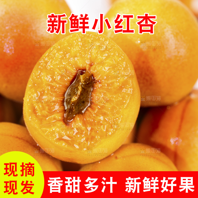 浅底上的小红杏