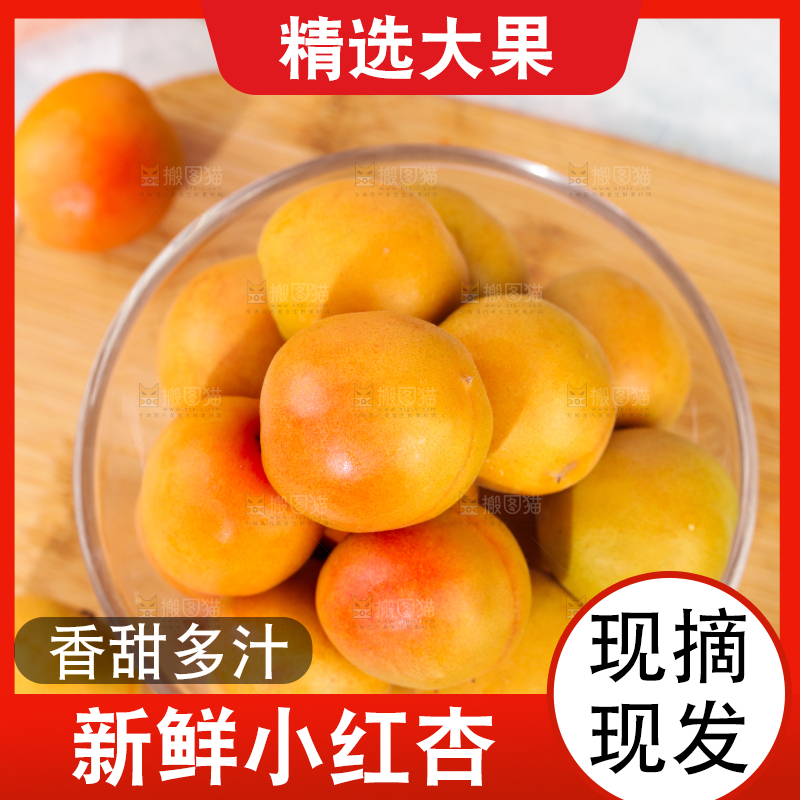 浅底上的小红杏
