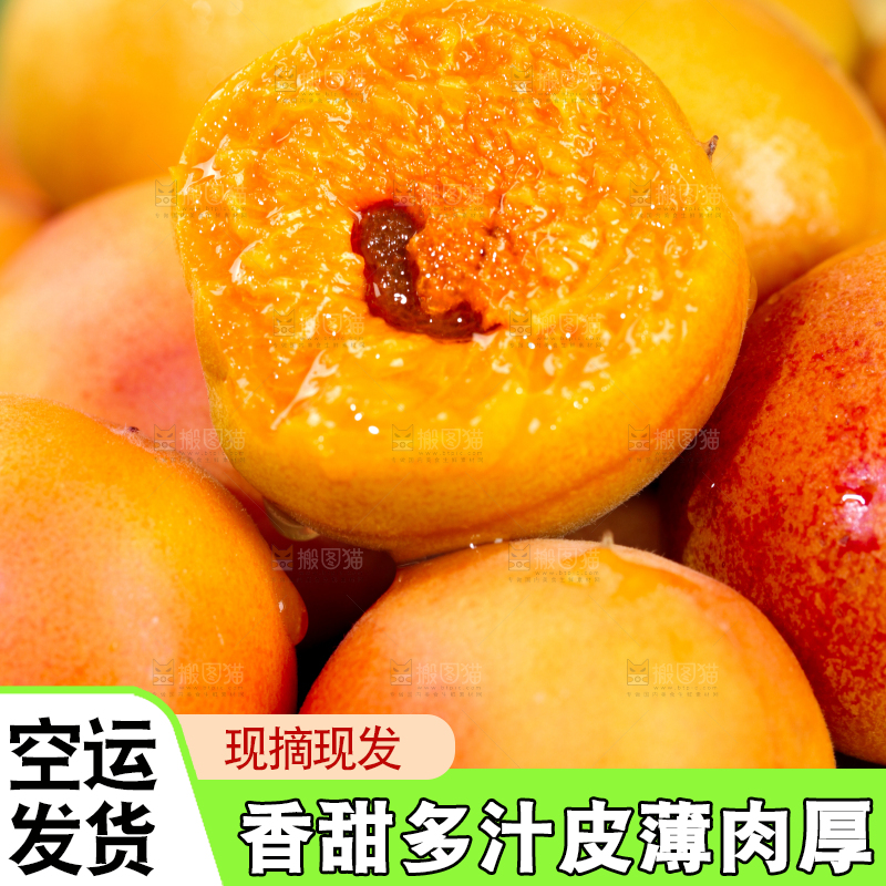 深底上的小红杏