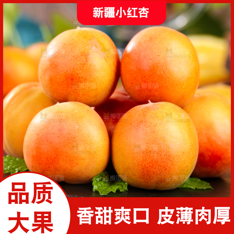 深底上的小红杏