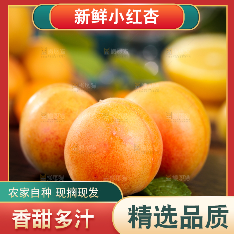 深底上的小红杏