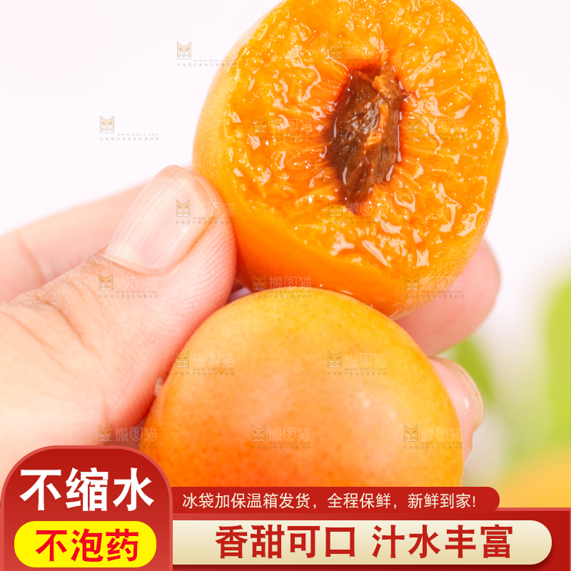 浅底上的小红杏