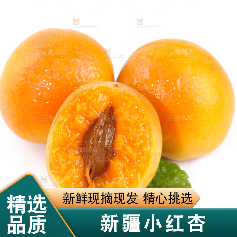 白底上的小红杏