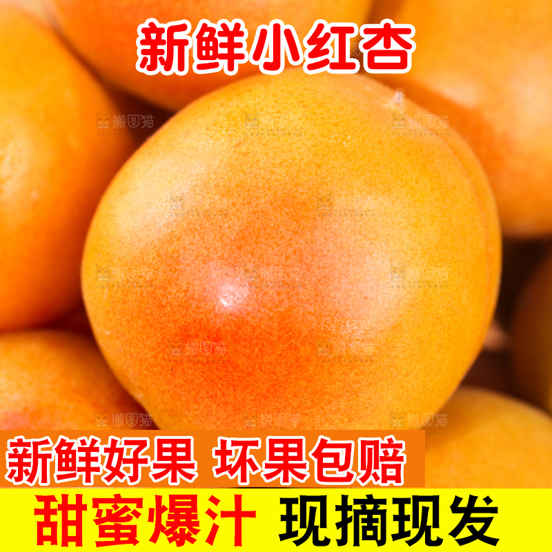 浅底上的小红杏