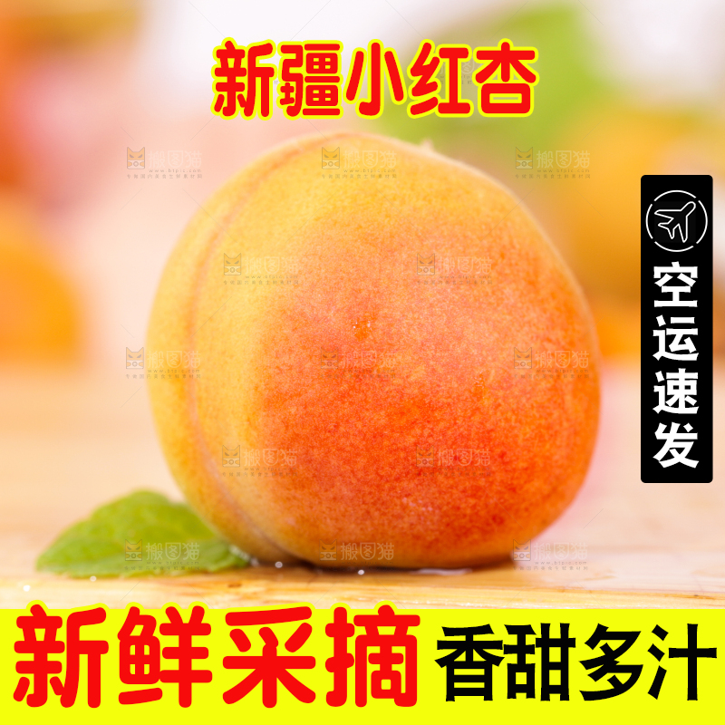 浅底上的小红杏