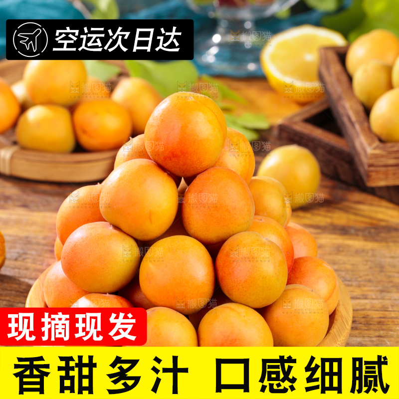 深底上的小红杏