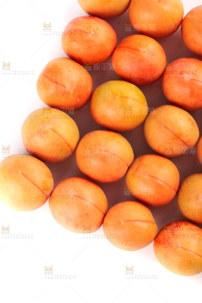 白底上的新疆小红杏