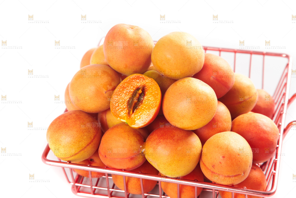 白底上的新疆小红杏