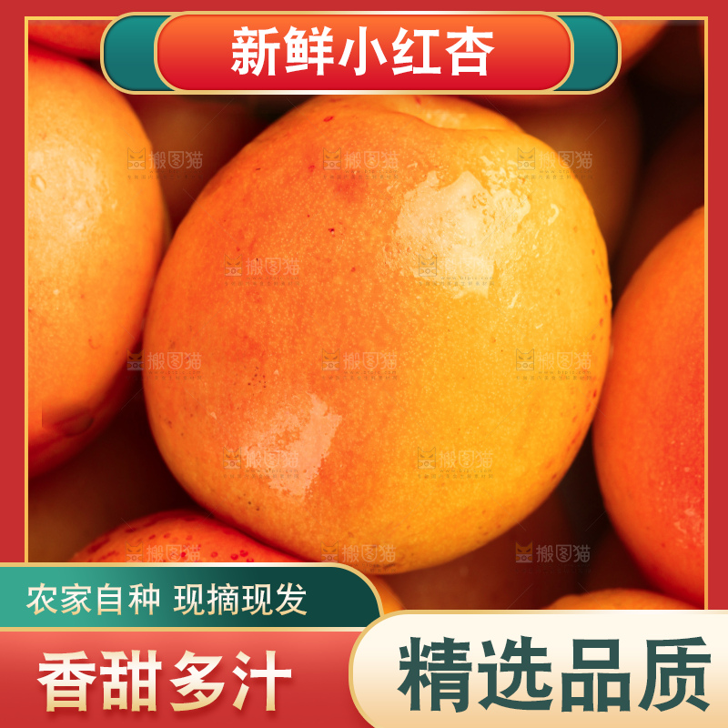 木底上的小红杏