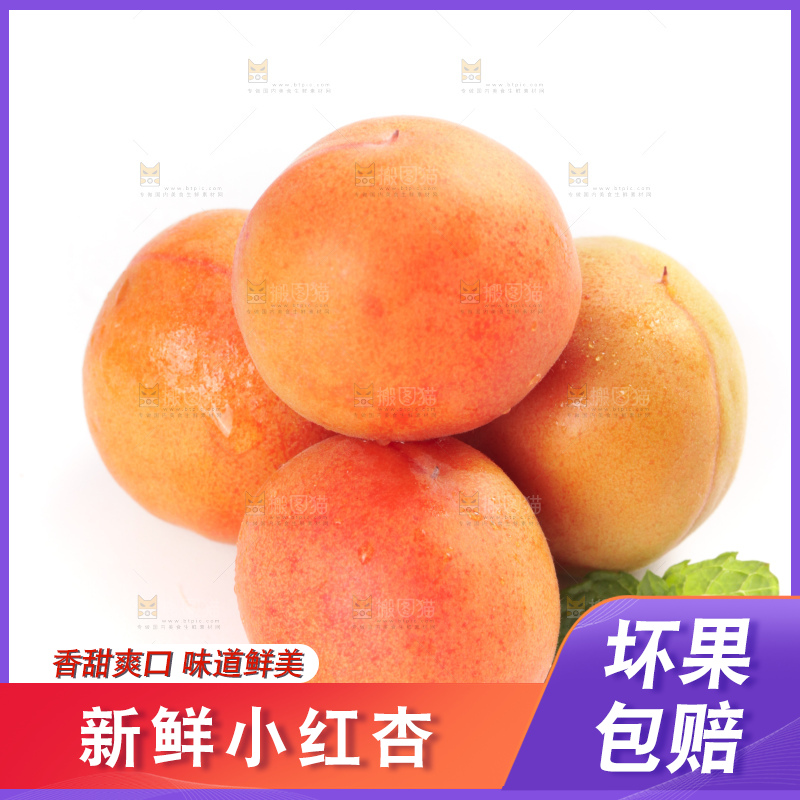 白底上的新疆小红杏