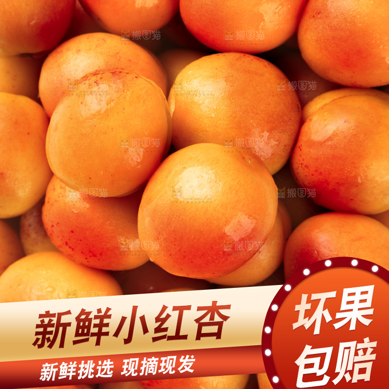 木底上的小红杏