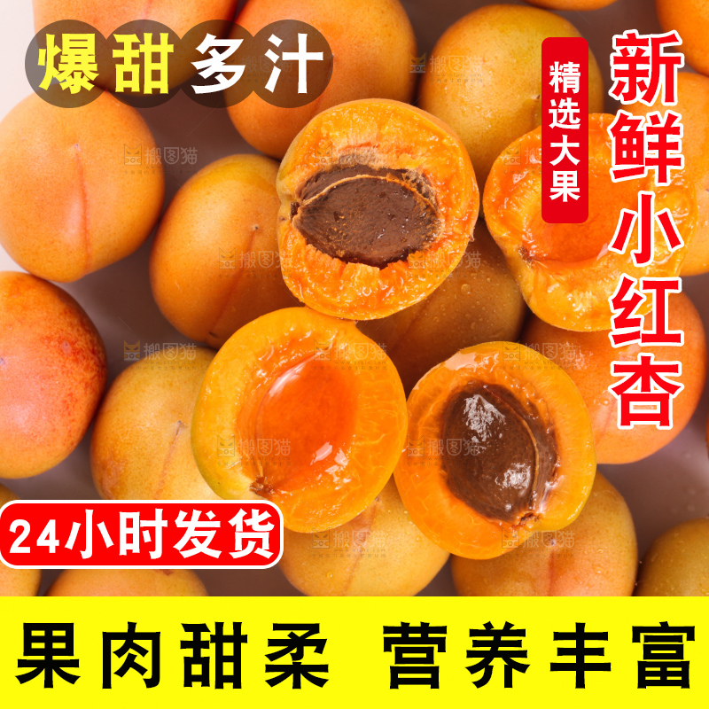 白底上的新疆小红杏