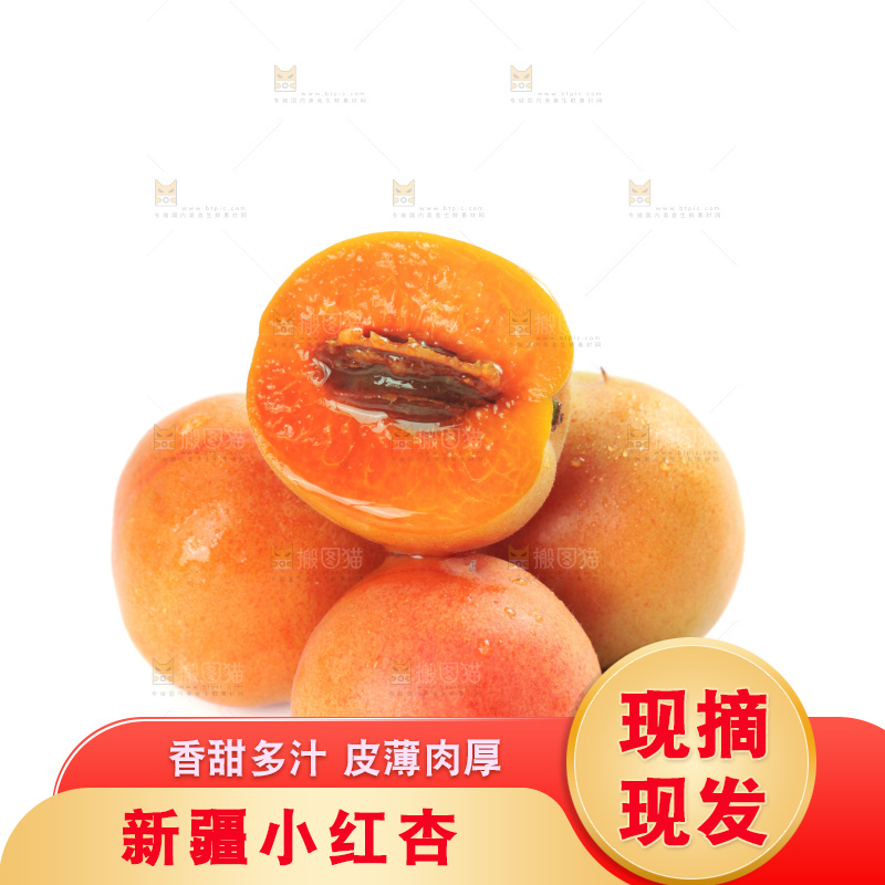 白底上的新疆小红杏