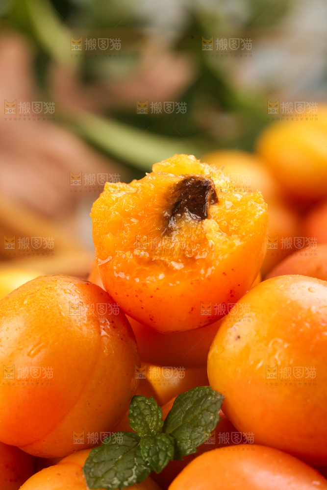 木底上的小红杏