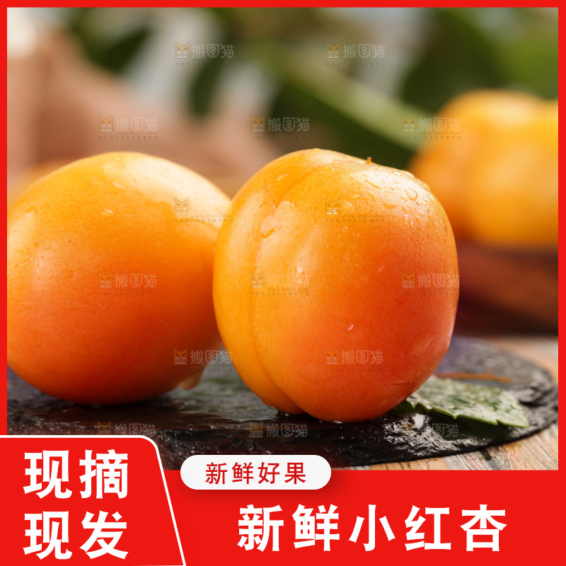 木底上的小红杏