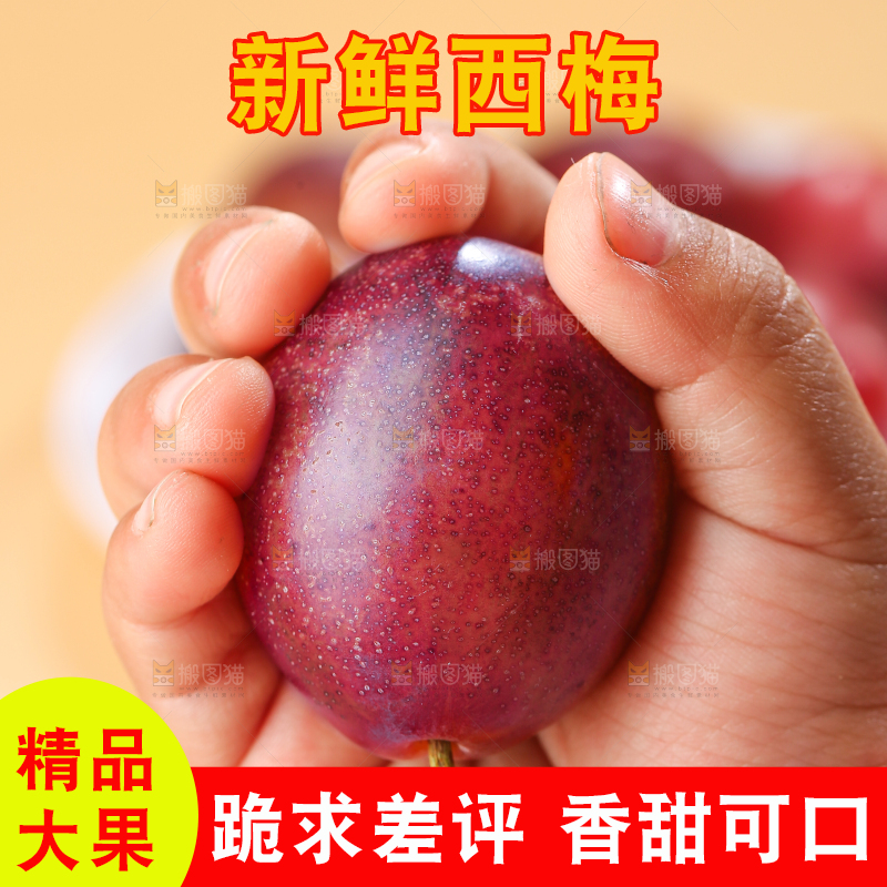 手里拿着新鲜西梅