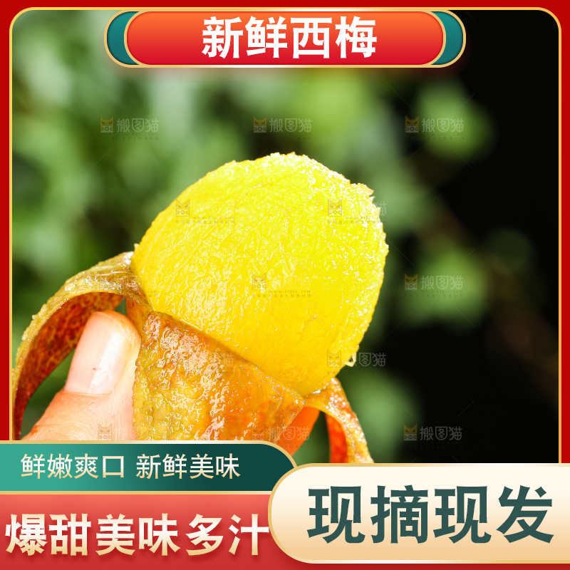 手里拿着新鲜西梅
