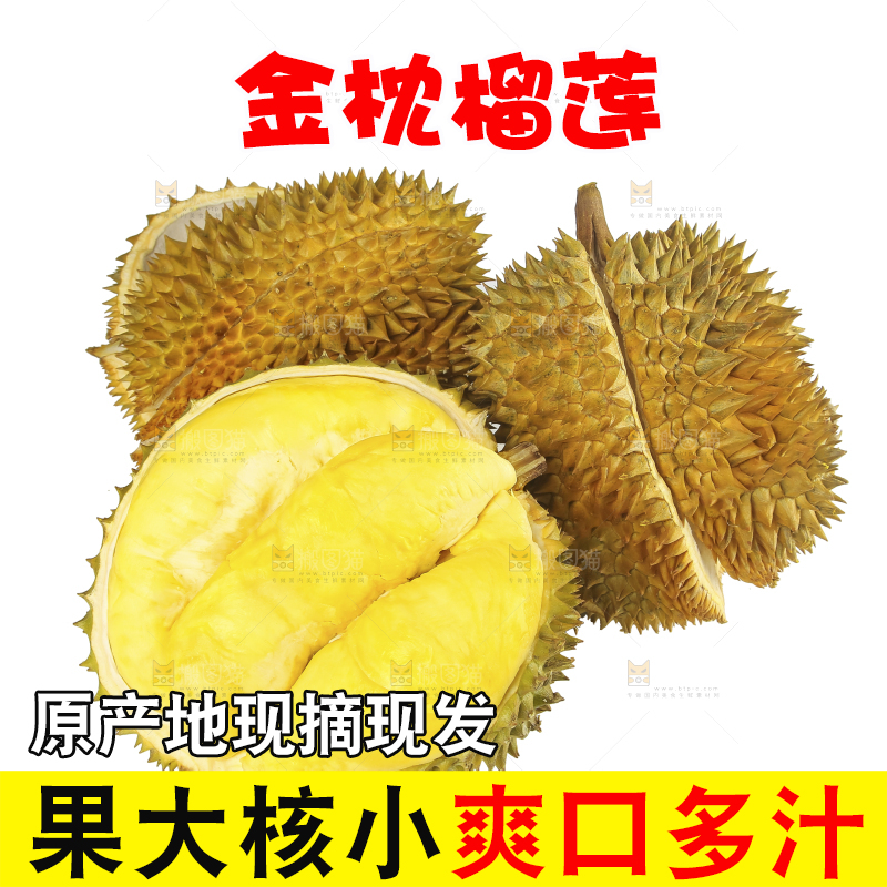 白底上的金枕榴莲