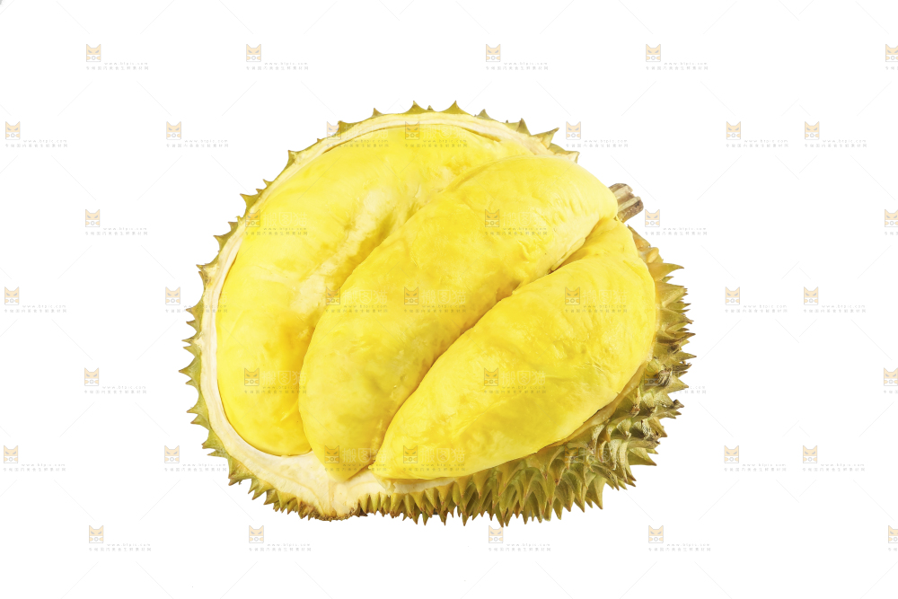 白底上的金枕榴莲