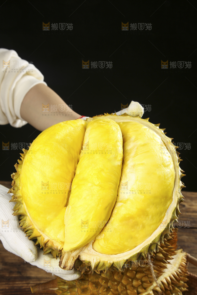 深底上的金枕榴莲
