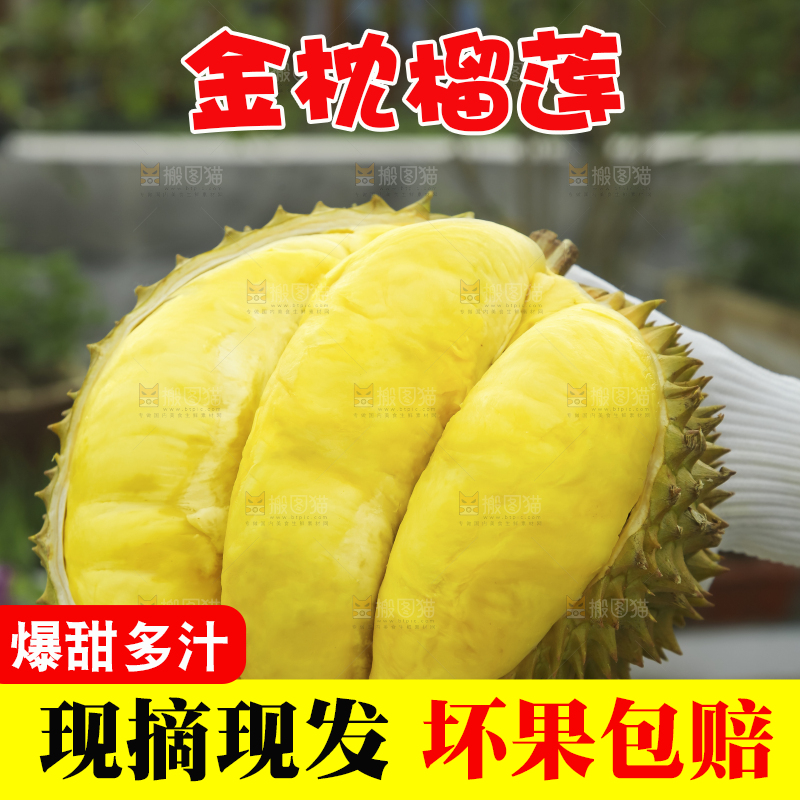 手里拿着金枕榴莲